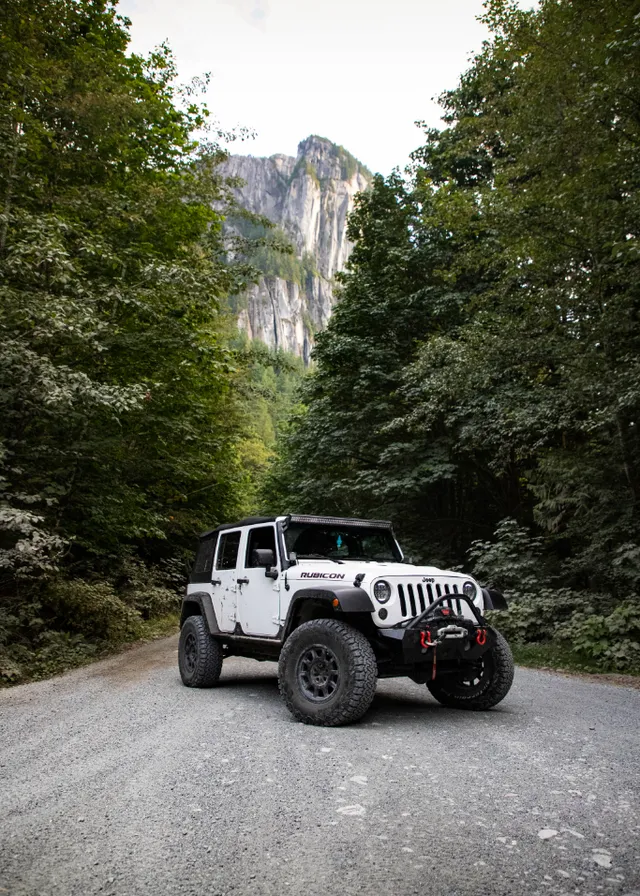 a jeep parked on the side of a road. wheel, tire, vehicle, car, plant, sky, automotive tire, hood, window, motor vehicle