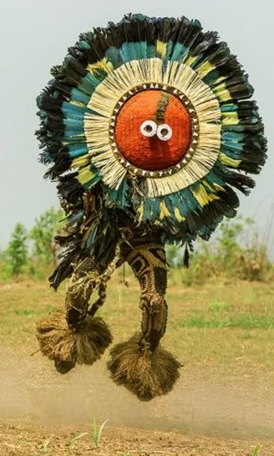 a person in a costume that looks like a bird