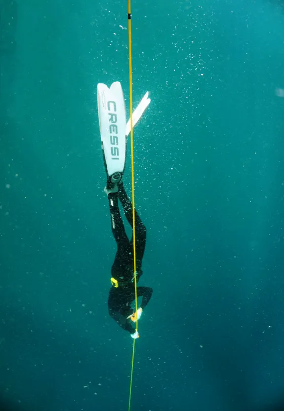 a person on a surfboard in the water