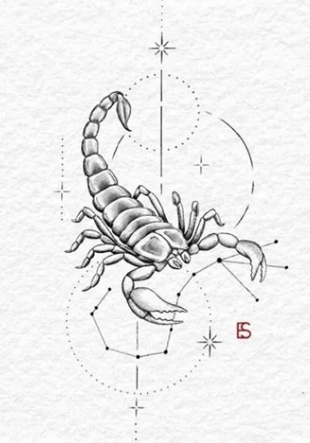a drawing of a scorpion on a white paper