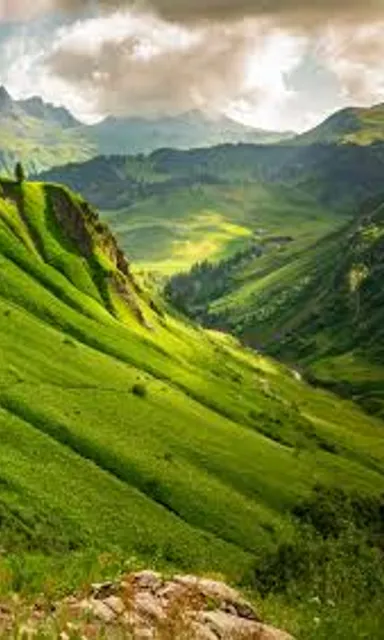 a lush green hillside with mountains in the background