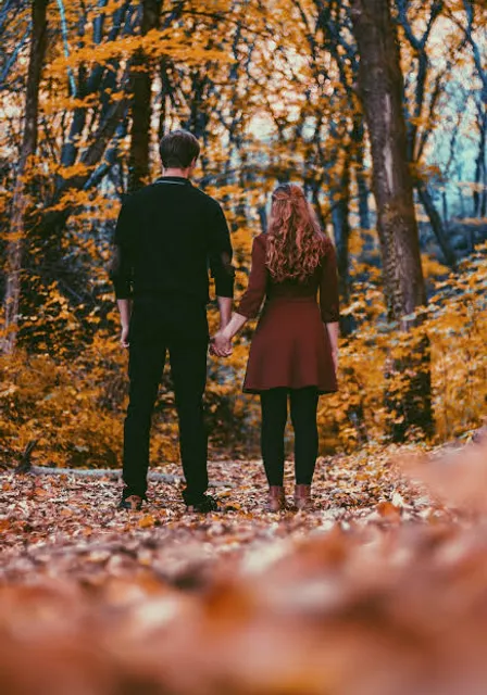 a couple walking through the woods holding hands