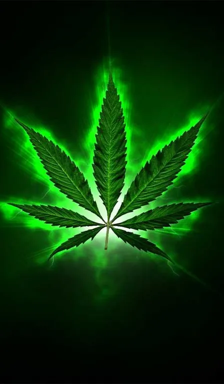 a marijuana leaf with green lights in the background