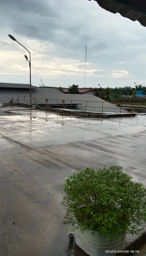 an empty parking lot with a tree in the middle of it