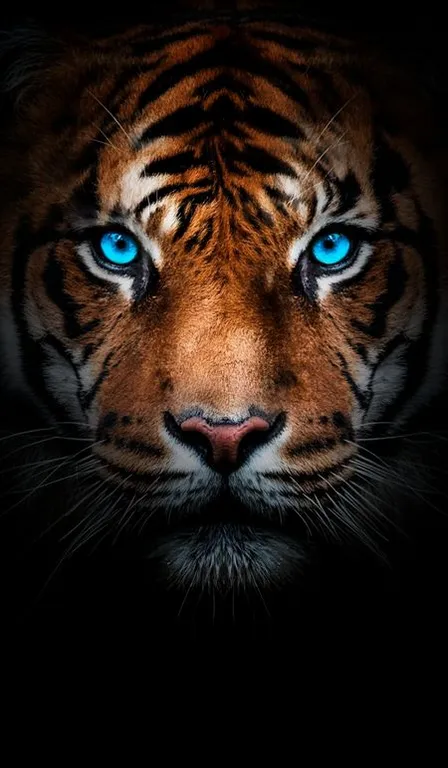 A Close Up of a Tiger's Face with Blue Eyes - With Editing. make it look like a painting