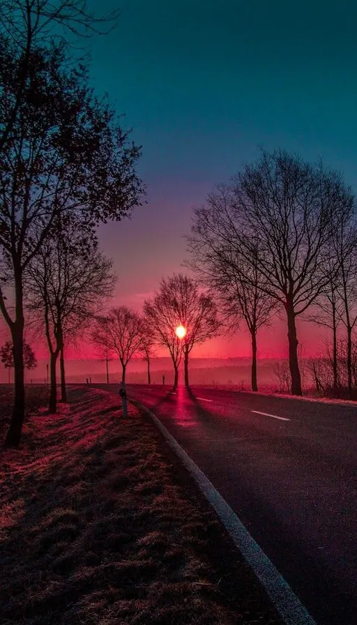 the sun is setting over the trees on the side of the road