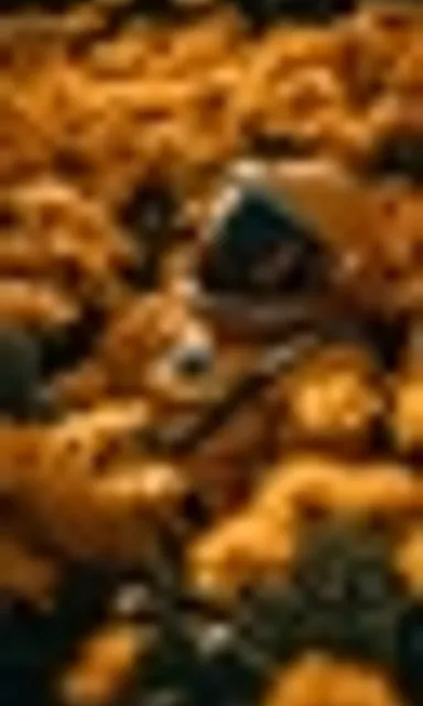 a blurry photo of a bunch of food items