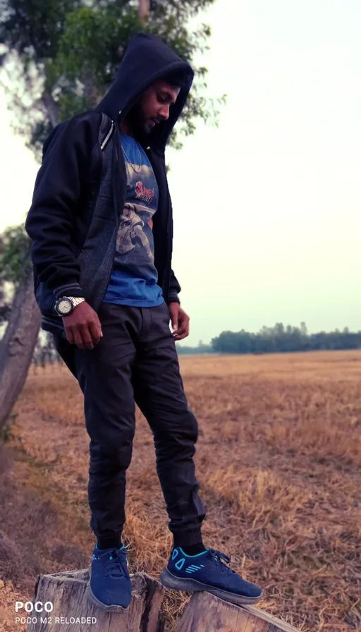 a man standing on top of a tree stump