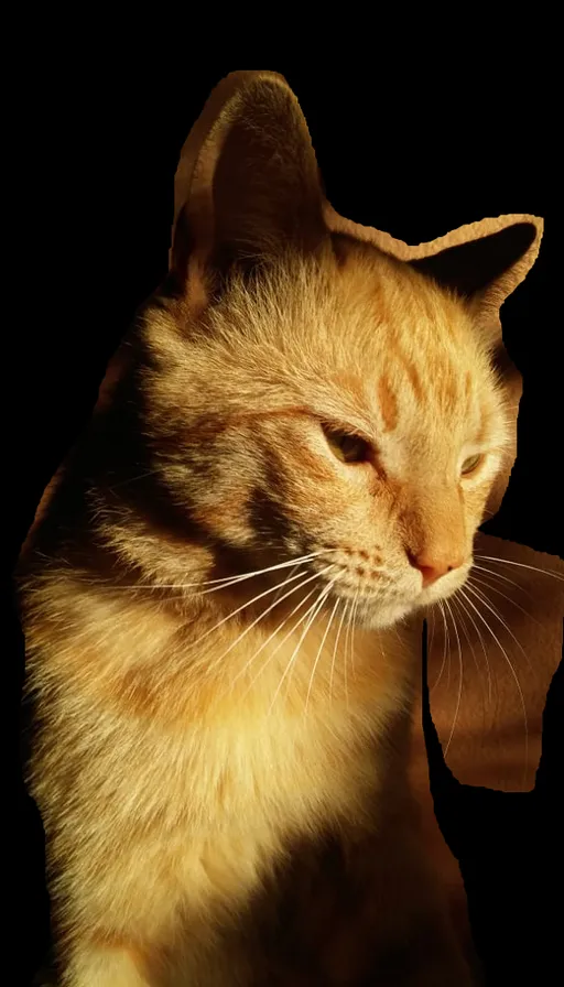 a cat with its eyes closed and a black background