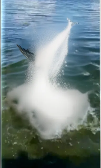 a jet ski being thrown into the water