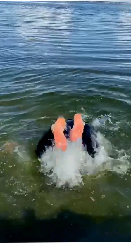 a person in the water with an orange life jacket