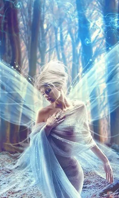 a woman dressed as a fairy in the woods