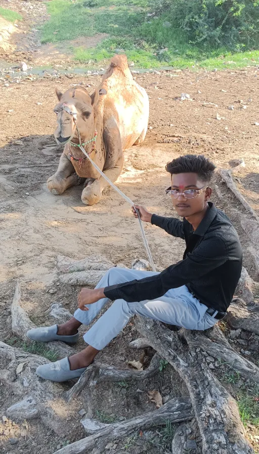 a man sitting on top of a tree stump next to a camel