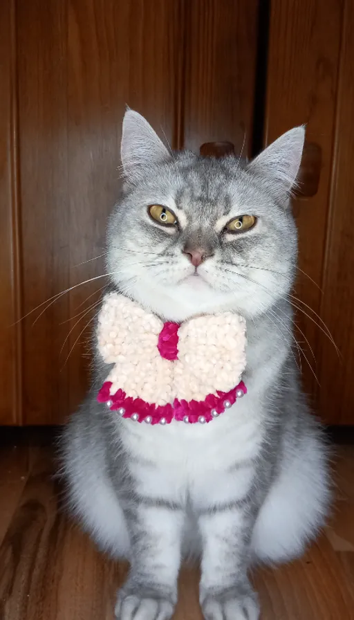 a gray and white cat wearing a red and white bow tie