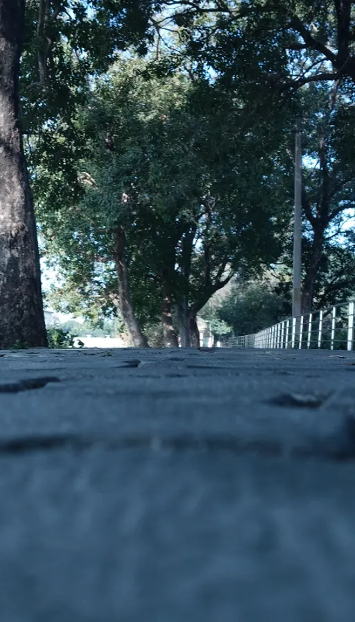 a person riding a skateboard on a city street