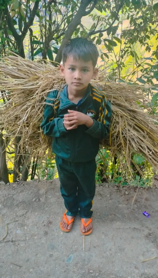 a young boy carrying a large bundle of hay