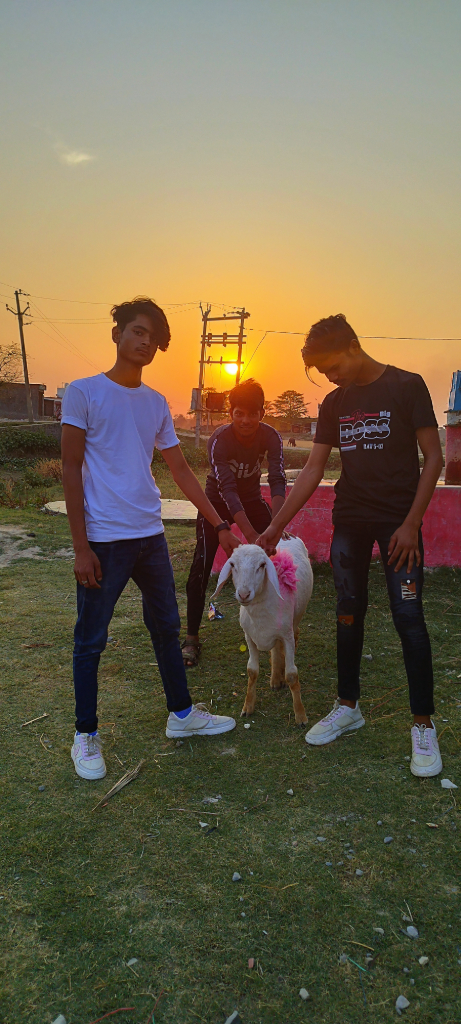 a group of young men standing next to a dog