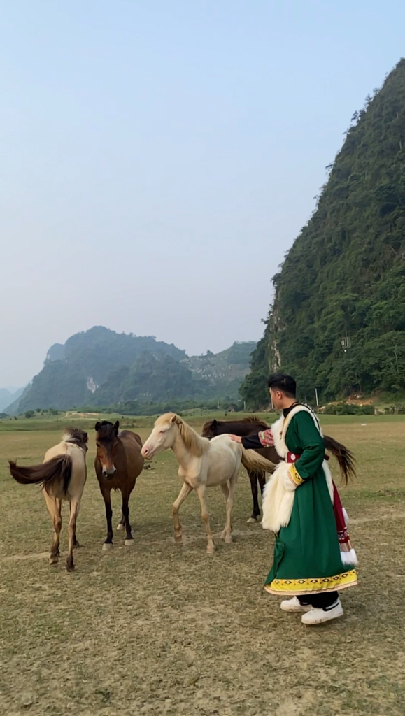 a woman in a green dress standing next to a group of horses
