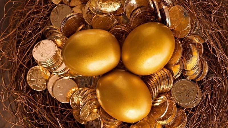 a bunch of gold eggs sitting on top of a pile of coins. Turn into a gold coin tree!. turn into a gold coin tree