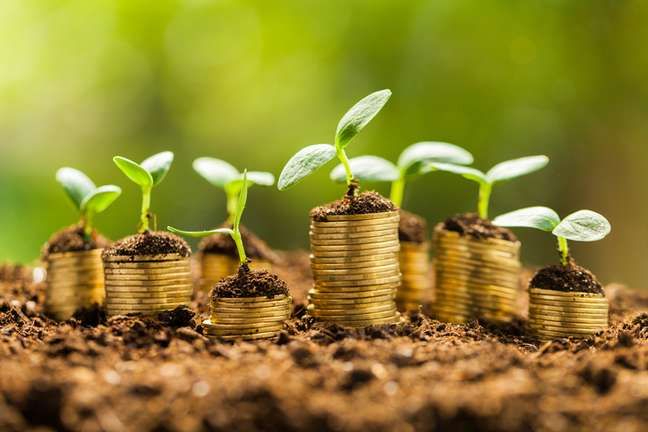 a pile of coins with a plant growing out of it