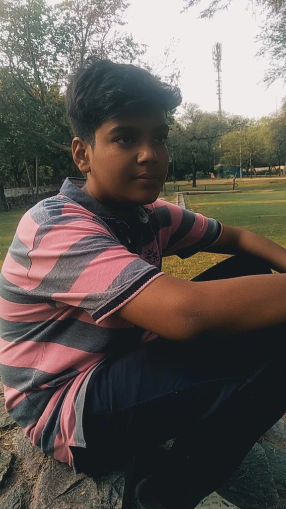 a boy sitting on a rock in a park